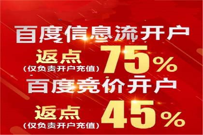 SEM竞价优化实战经验分享：成功案例背后的秘密